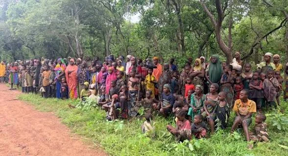 Military rescues 363 victims, arrests scores of terrorists in 1 week – DHQ