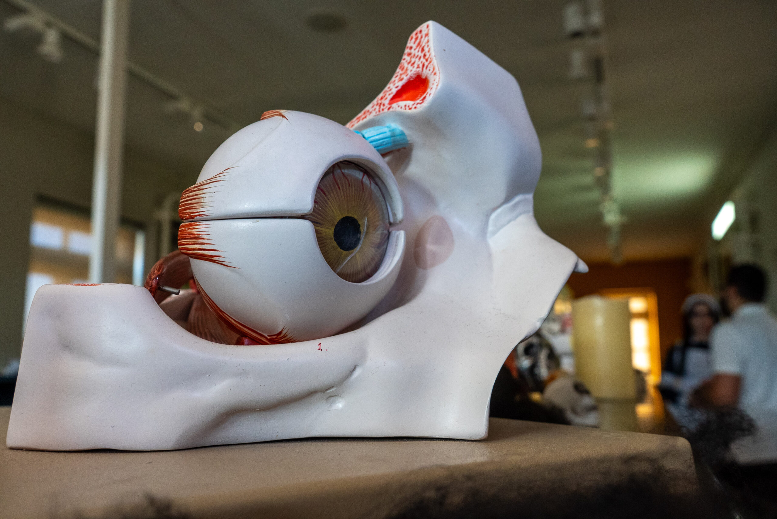 Esplora unveils ‘Haunted Hospital’ Halloween experience