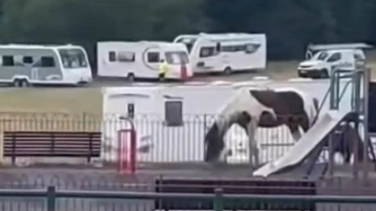 Residents' fury as travellers smash through locks to set up illegal encampment of more than 20 caravans on popular recreational park