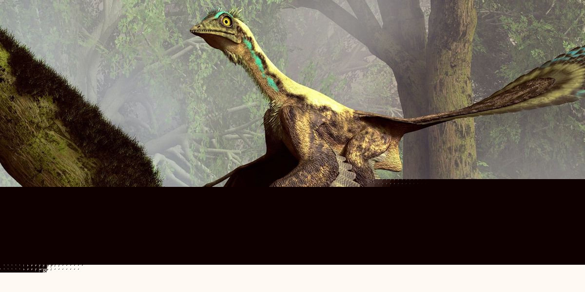 Palaeontology breakthrough finally uncovers how 'first bird' learnt to fly 150 million years ago