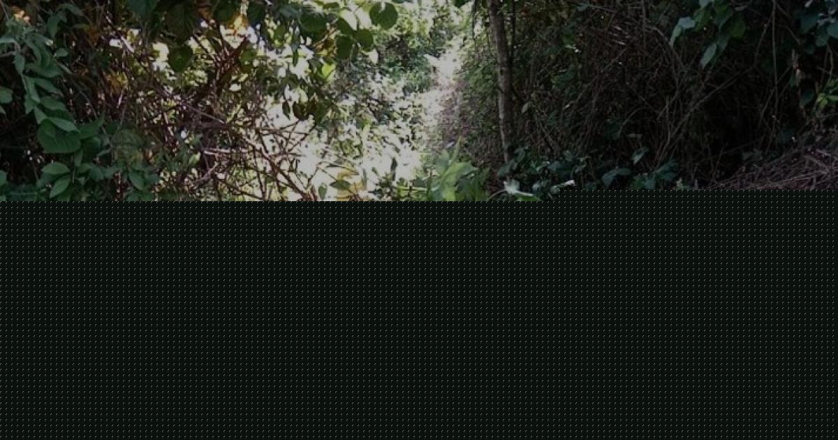 New walking route to open up Lower Earley's green spaces