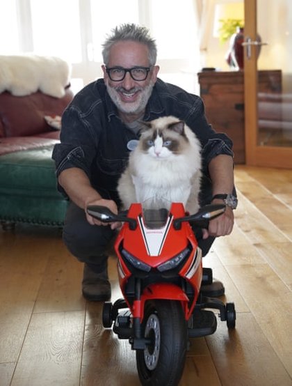 Pussies galore! David Baddiel’s Cat Man is purr-fect TV