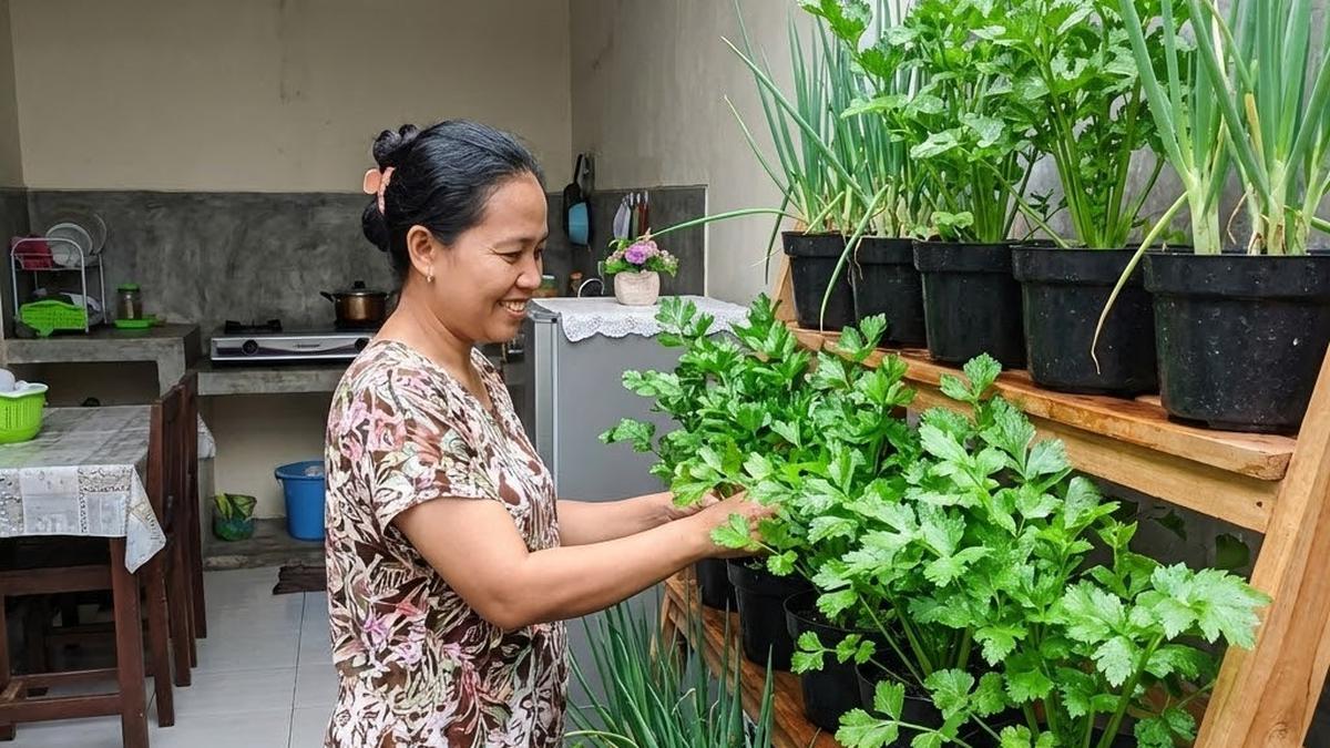 10 Kebun Sayur Kecil yang Bikin Rumah Lebih Sejuk, Solusi Lahan Sempit