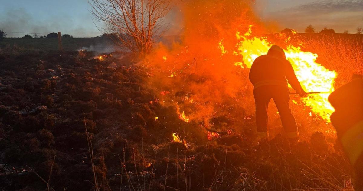 Wildfire warning after people spotted lighting fires around Somerset town