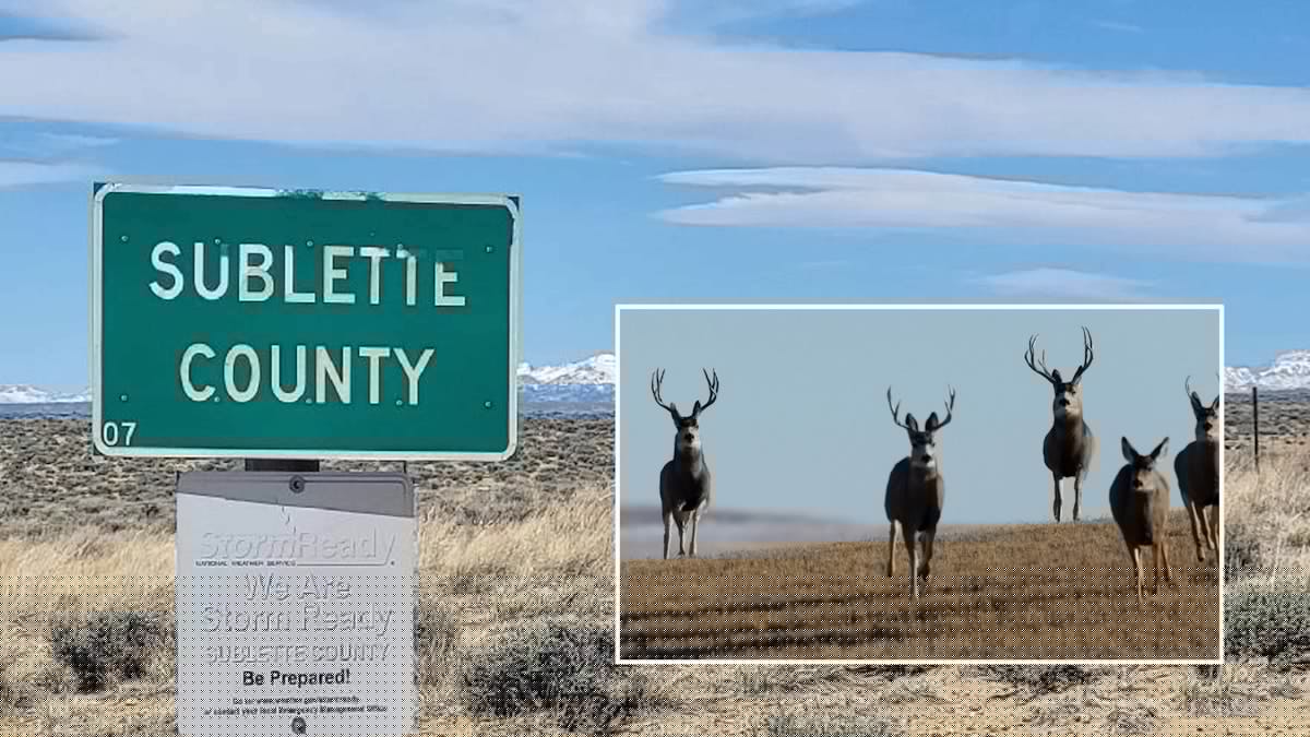 Sublette Residents Say Mountain Bike Trails Would Harm Famed Mule Deer Migration