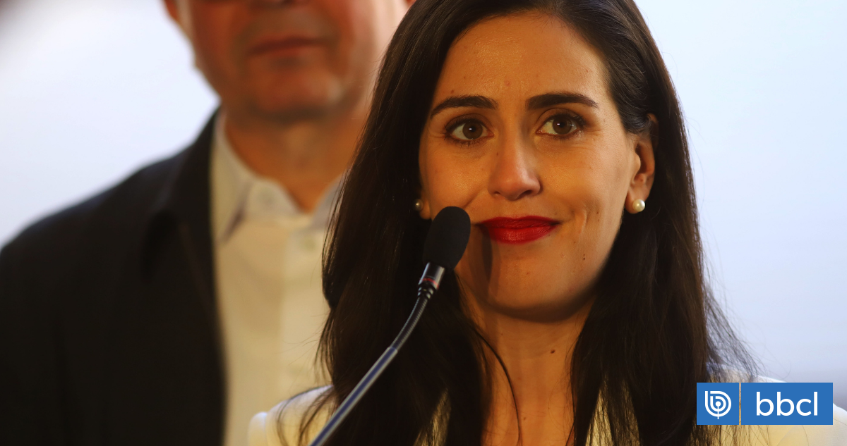 Horas extras y excesivo uso de imagen de Ripamonti: Contraloría cuestiona a municipio de Viña del Mar