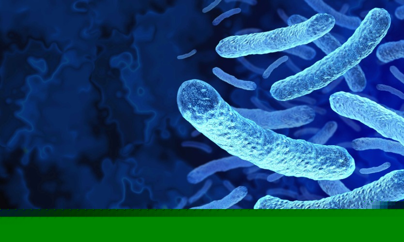 Legionnaires’ outbreaks spark risk management concerns