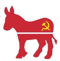 Most say they wouldn’t back democratic socialist presidential candidate: Survey  Comm