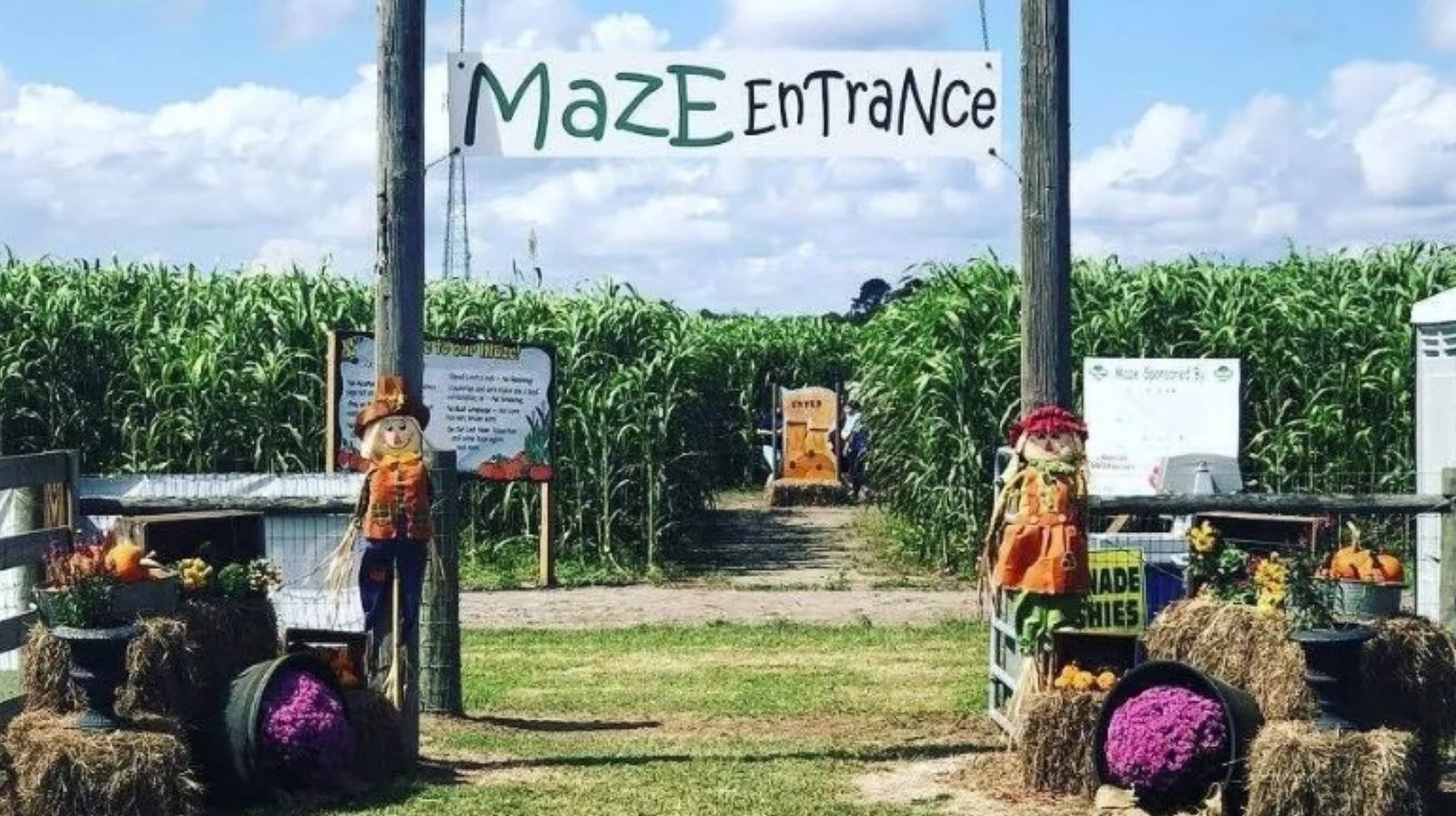 Between Jacksonville And Orlando Is Florida's Fall Haven With An Impressive Corn Maze And Family-Friendly Fun