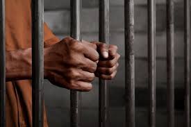 Comment on Five Lusaka Residents Jailed Five Years for Possession of Pangolin by Kapyololo Dufulile