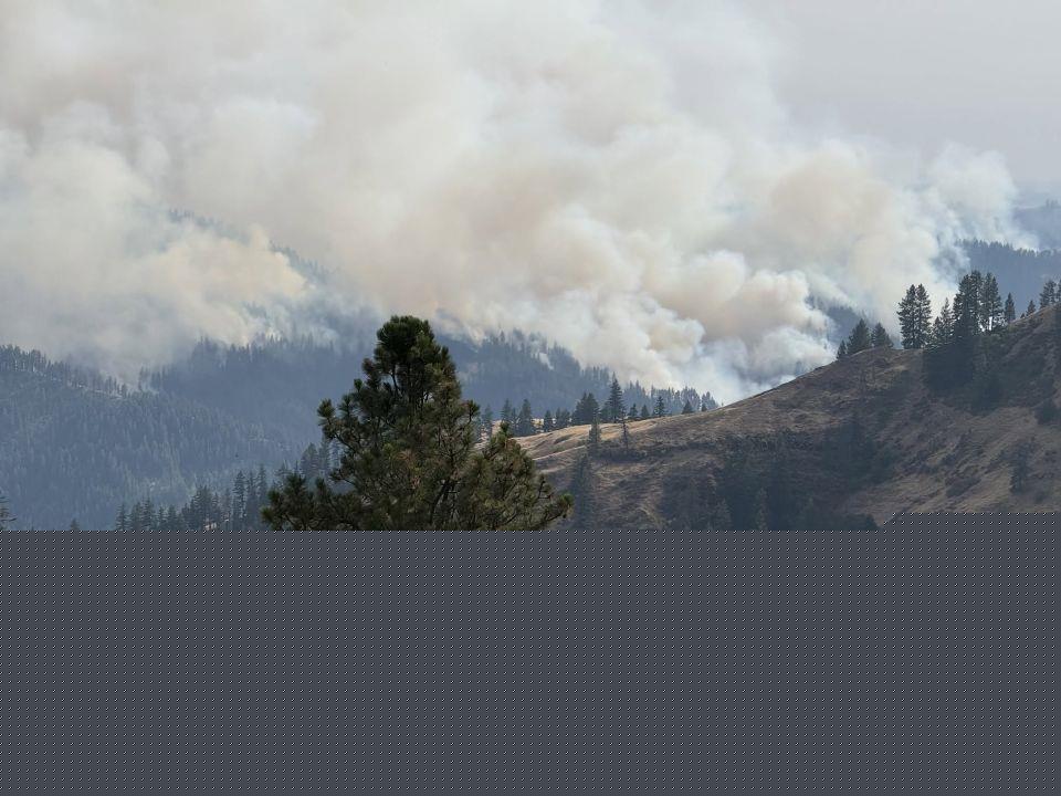 Bentz, Merkley team up on wildfire reduction act