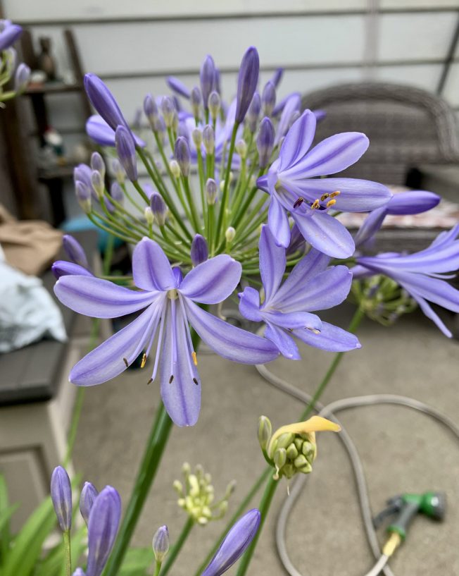 WEST SEATTLE SUNDAY: 28 notes!