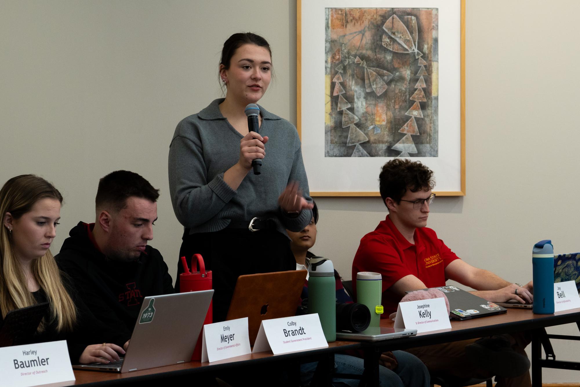 StuGov creates academic affairs committee following unanimous vote