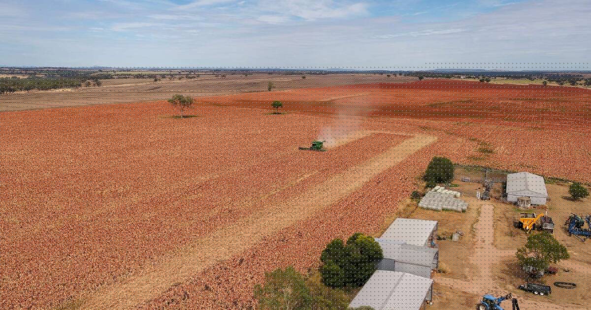 Cropping, livestock enterprise with self-mulching black soils | Video