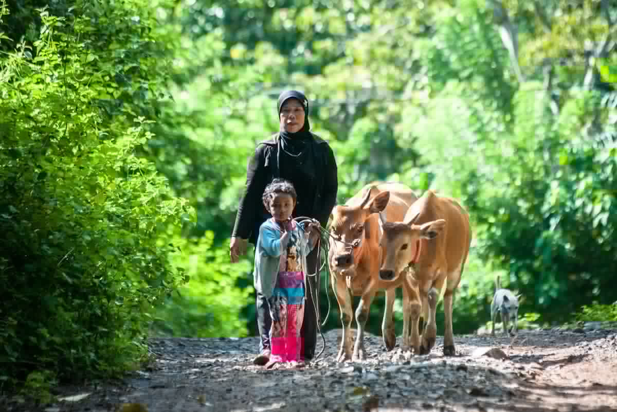 As new sources of climate finance grow, the poorest are neglected