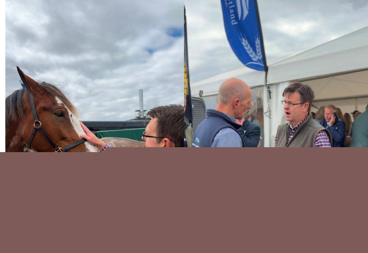 Highland MSP gets farming feedback straight from the horse’s mouth