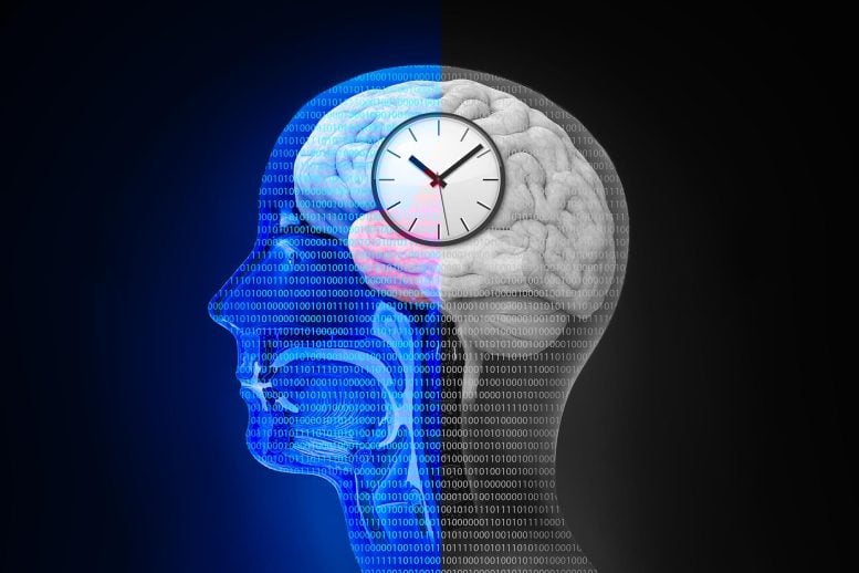 Scientists Tested an 8-Hour Eating Window and Found a Surprising Brain Benefit