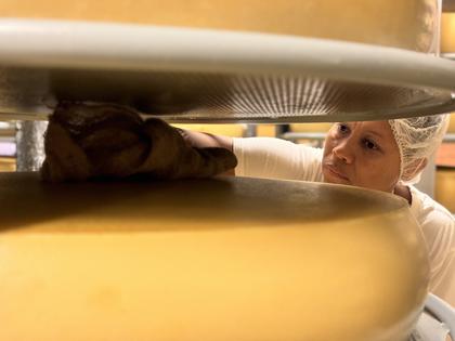 US tariffs threaten Swiss cheese exports and profits