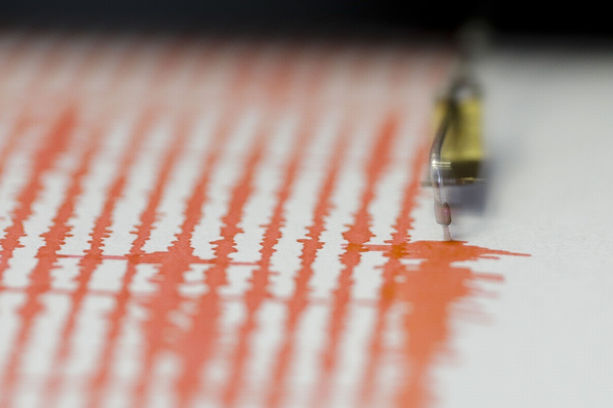 Cutremur în zona seismică Vrancea cu magnitudinea 4,5 pe scara Richter, marți seara