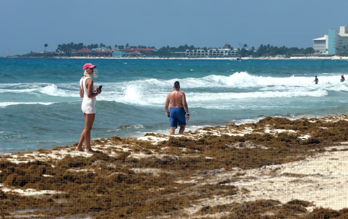 Caribe mexicano: Ocupación hotelera sigue por debajo del 70% en pleno verano