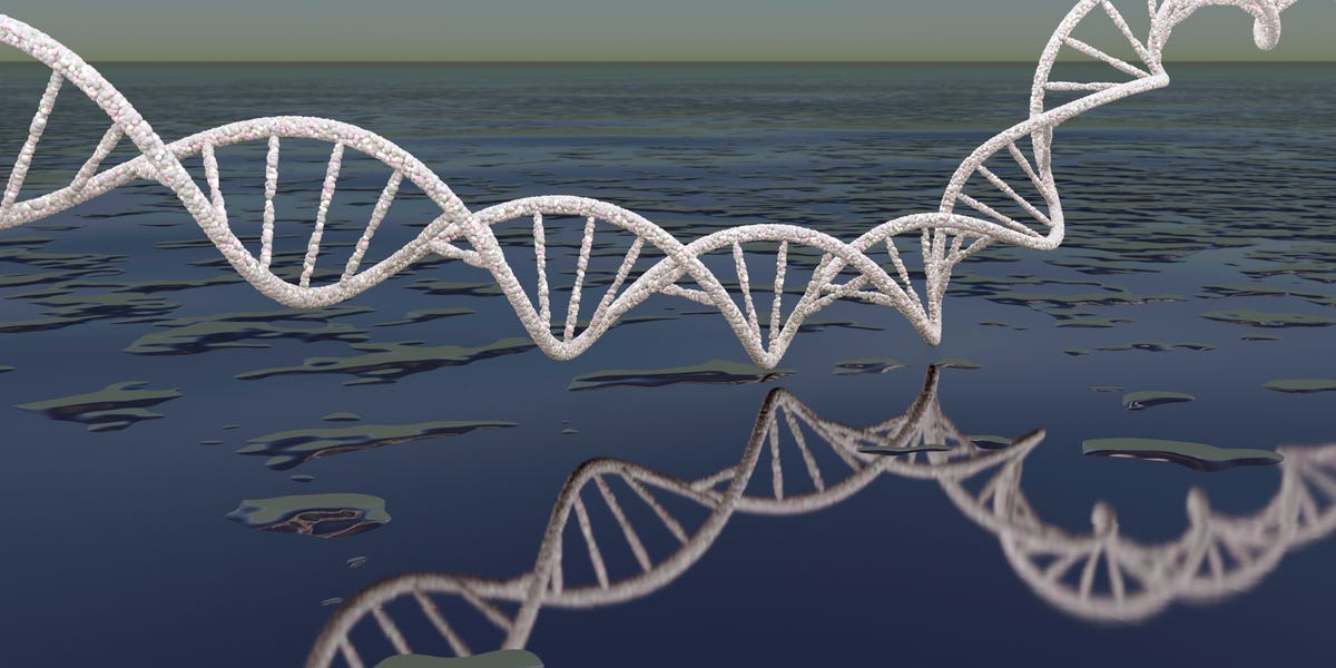 Scientists Say Life on Earth May Have Begun Not Once, but Twice