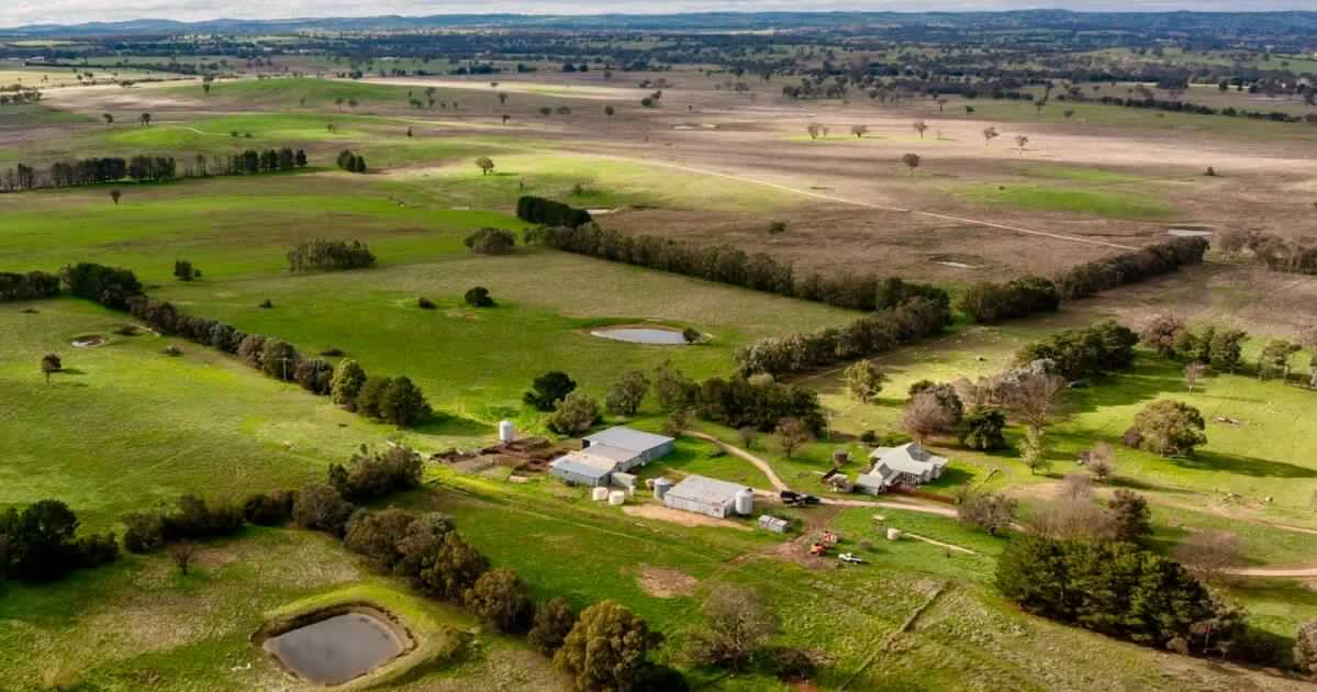 Significant 12,000 DSE livestock operation Woodleigh heads to auction