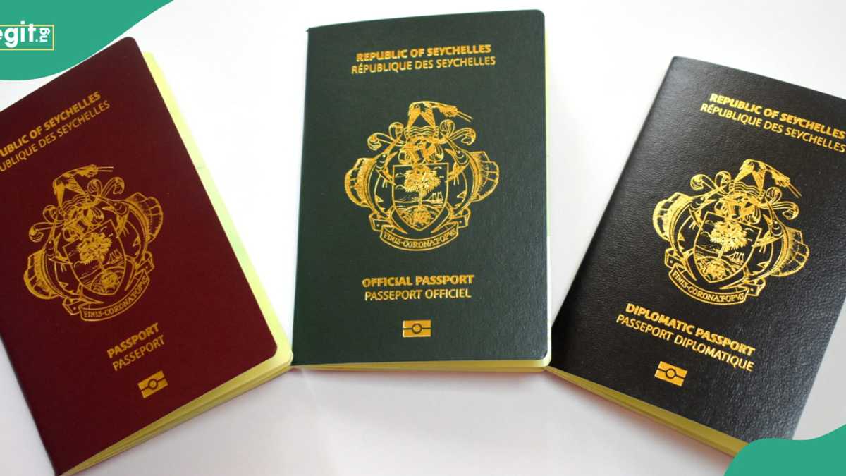 Full list: 10 African countries leading in visa-free travel in 2026