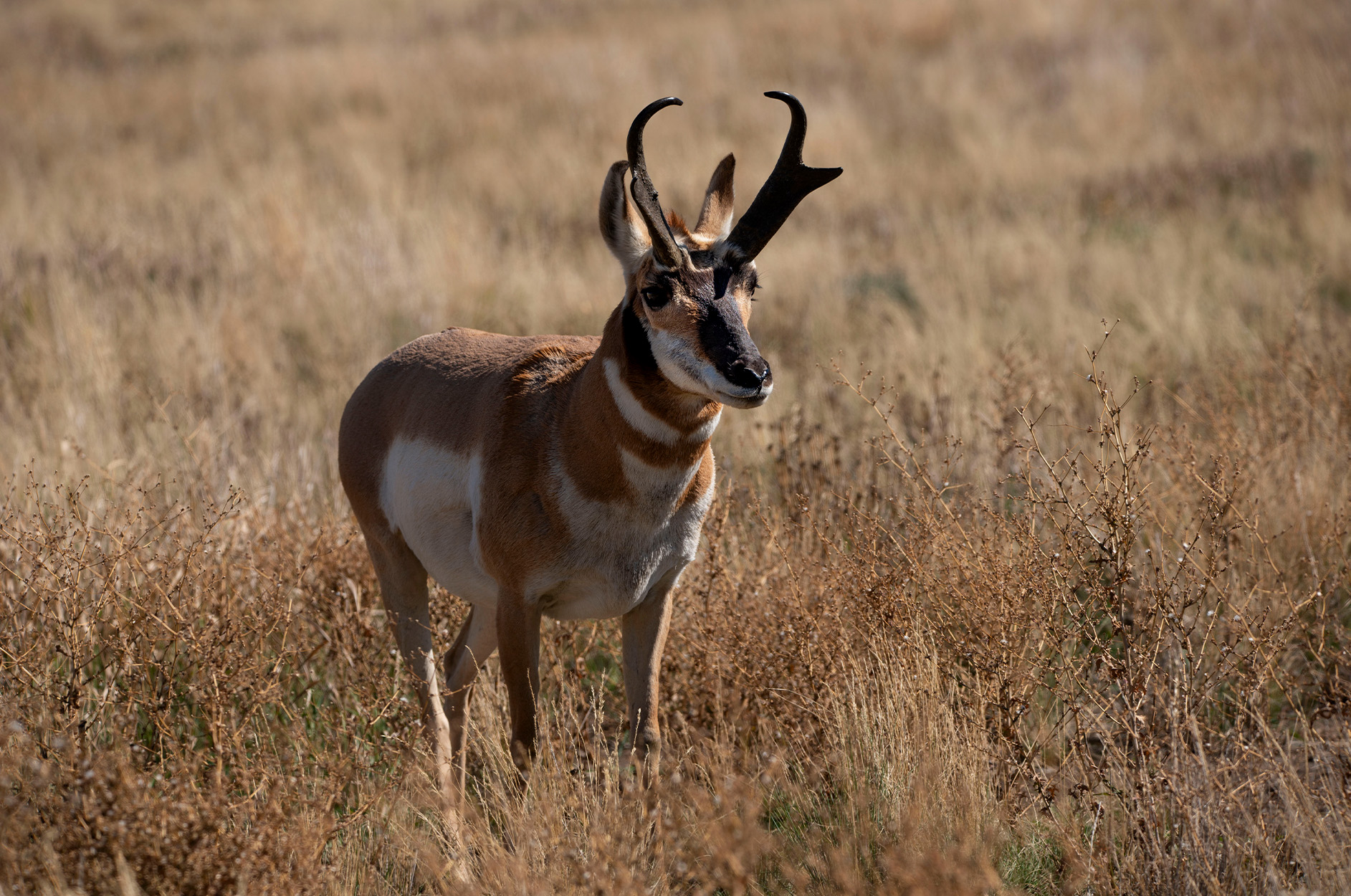Colorado Has Already Suspended Two Hunts Due to the Government Shutdown. More Could Be on the Horizon