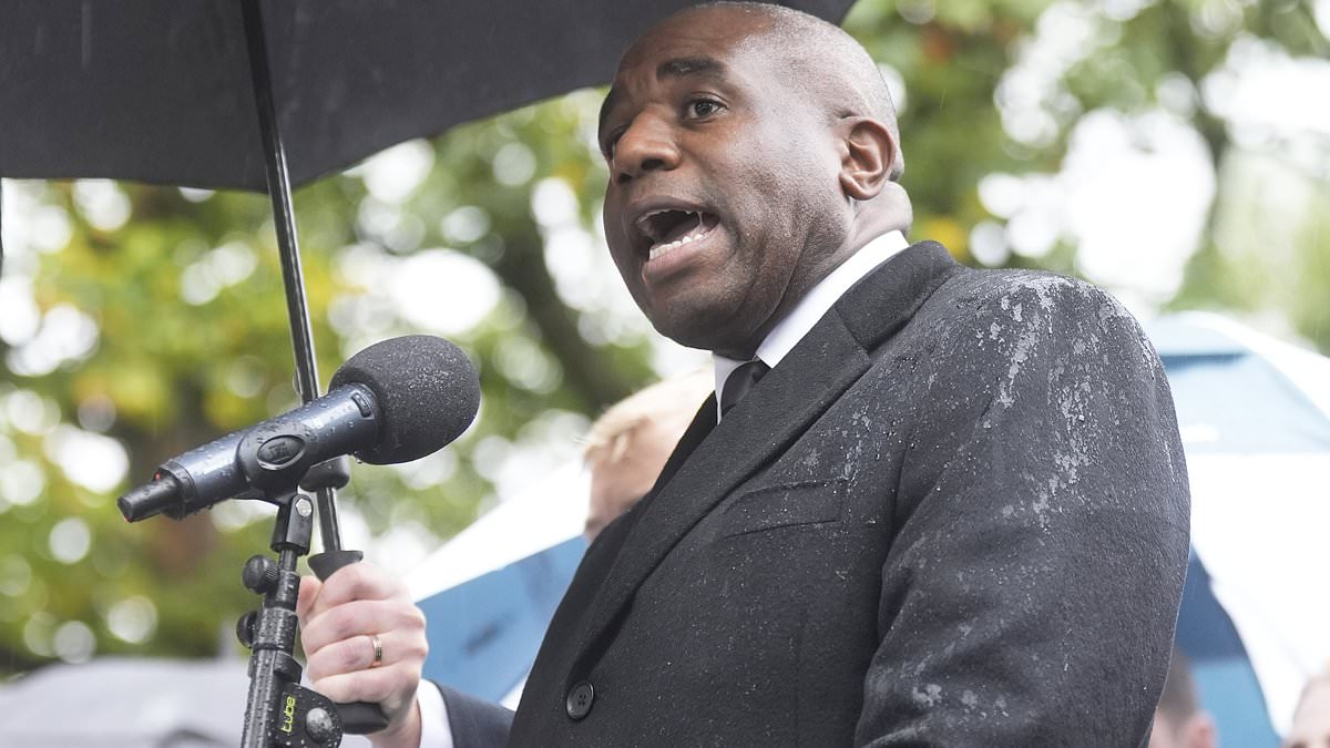 'Blood on your hands': David Lammy booed at vigil for Manchester terror attack victims as Deputy PM is told he's offering 'empty words' and locals 'want action'
