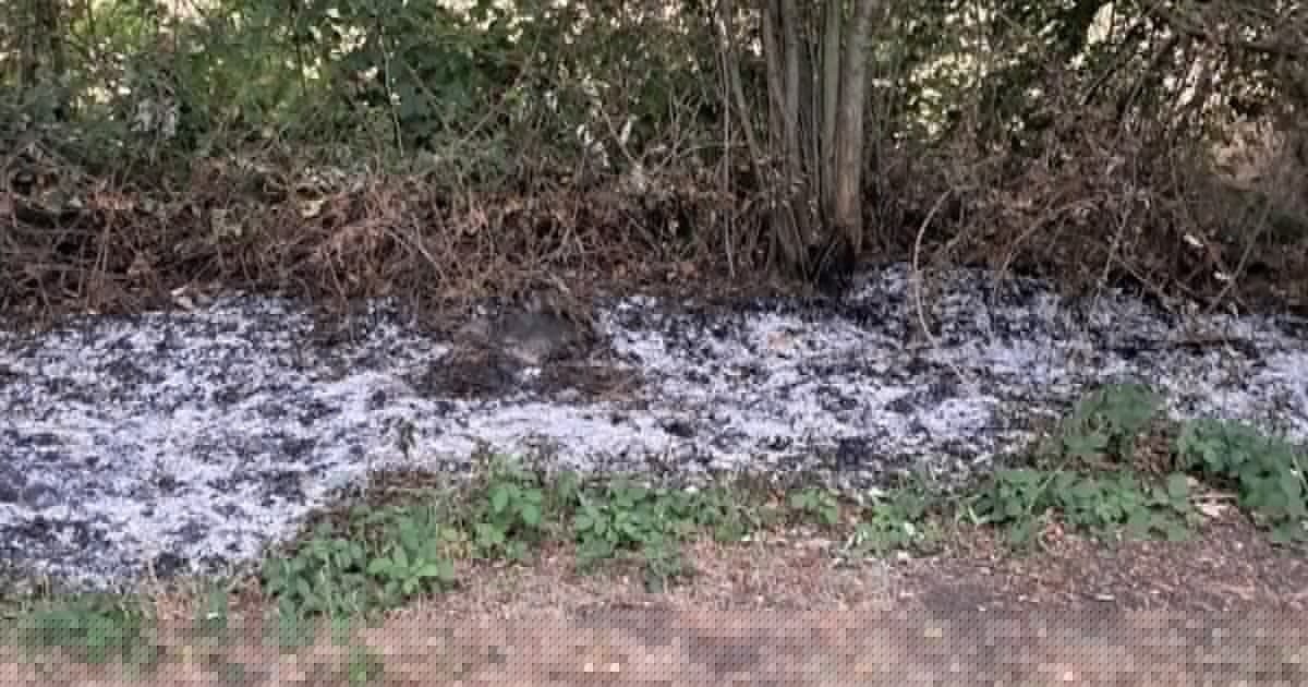 Départ d’un incendie criminel sur le RAVeL de Dour : Un riverain a jeté des seaux d’eau pour éviter la catastrophe