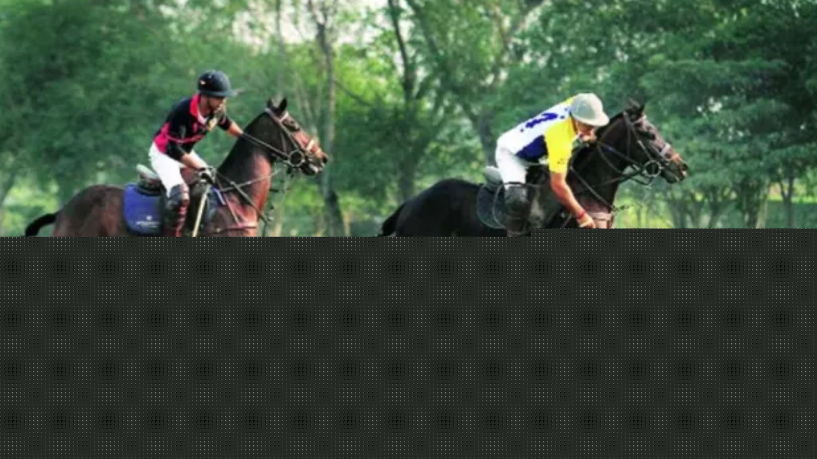 Polo Association exits arbitration litigation, wants 500 acres at alternate site