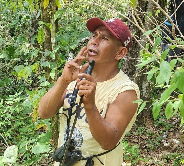 Burnt body of tourist guide found in vehicle