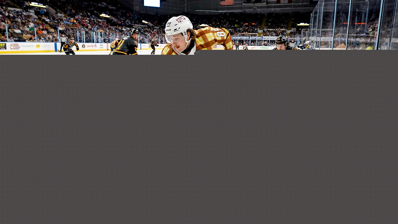 Milwaukee Admirals beat Wolves, secure Central Division title
