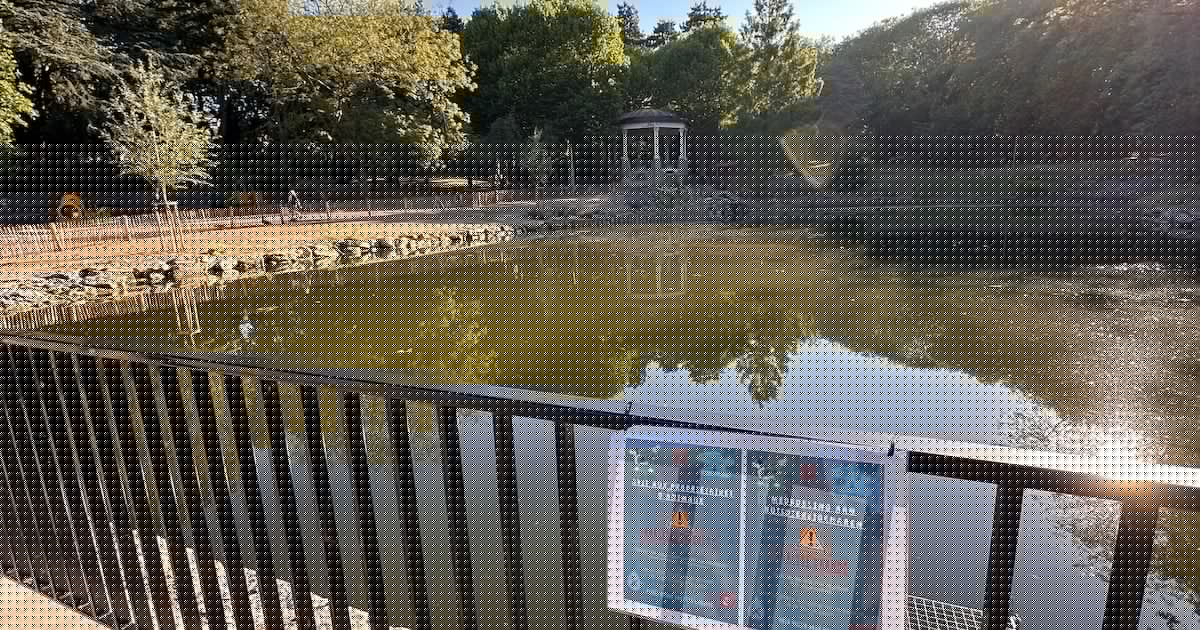 Mouscron: La couleur verdâtre des plans d’eau interpelle