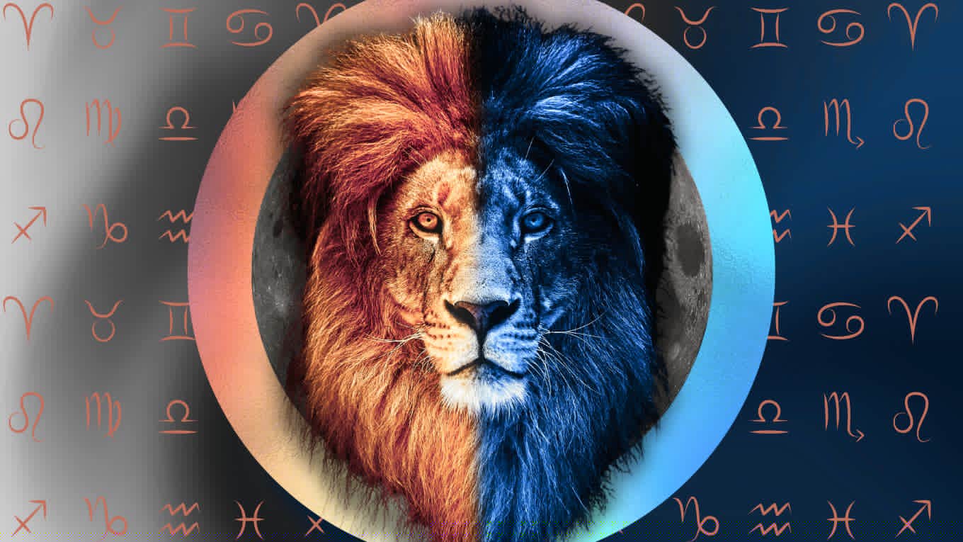 The Powerful 8/8 Lion's Gate Portal Is Here — How To Use It To Your Advantage In 2026