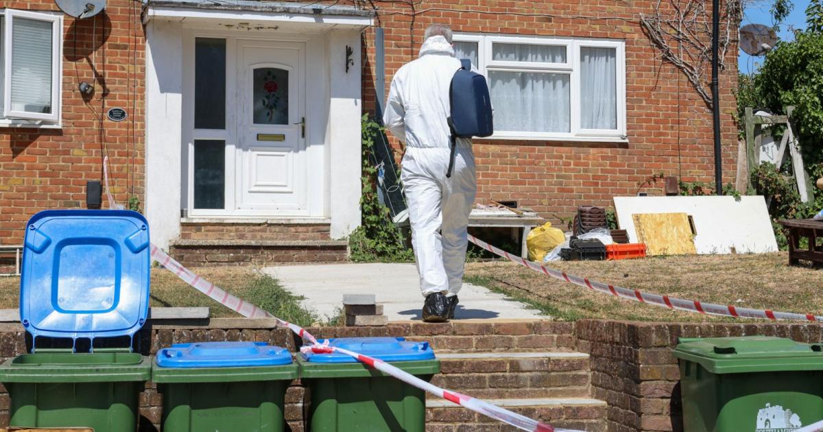 Hampshire police statement after two murder arrests made