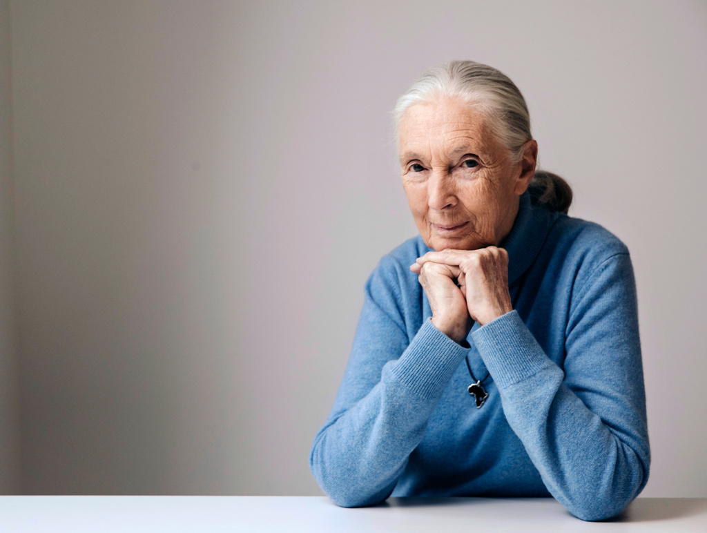 Goodall’s influence spread far and wide. Those who felt it are pledging to continue her work