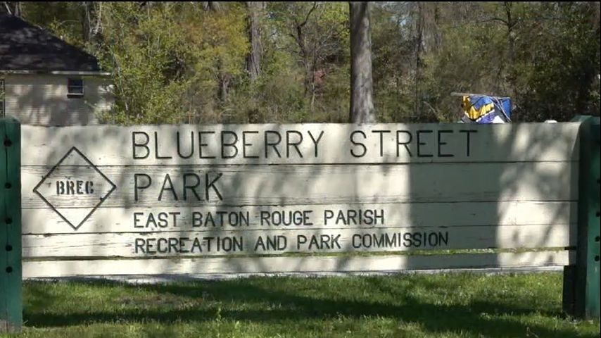 BREC commission approves sale or transfer of 2 obsolete parks in Baton Rouge