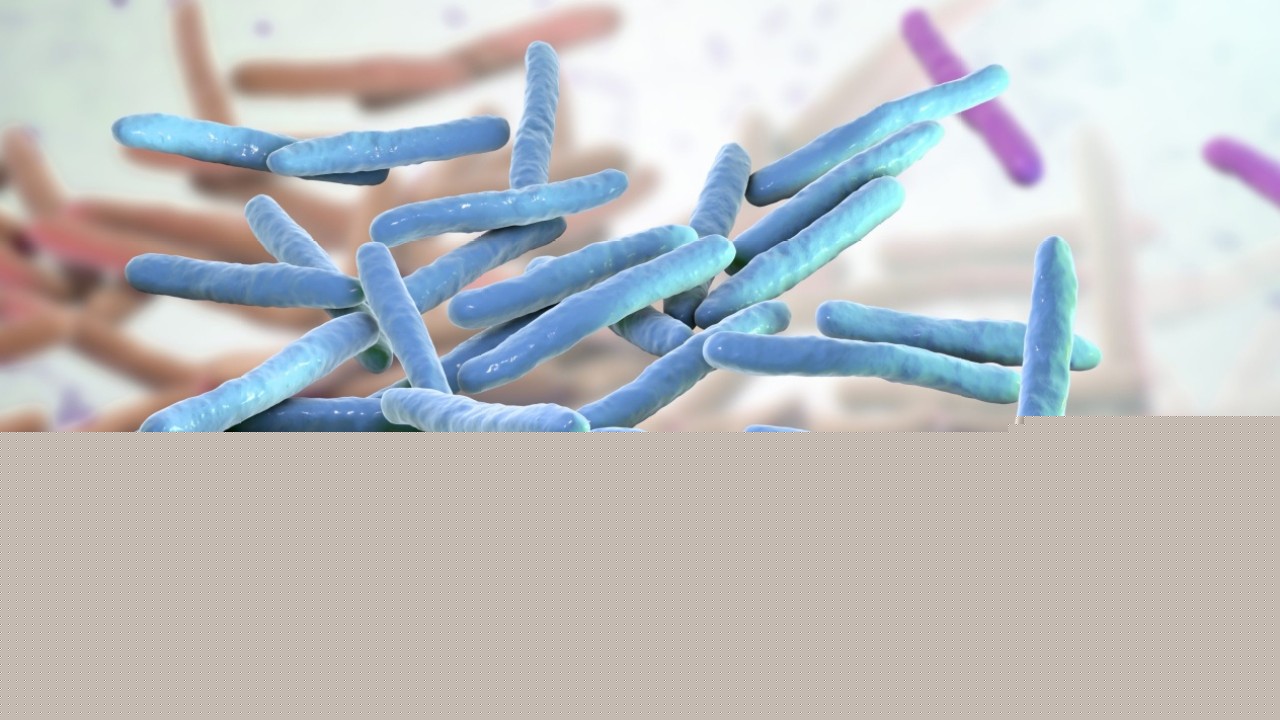 Leprosy cases increase in the US: Here's what to know