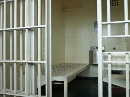 Alabama woman arrested after surrendering more than a dozen dogs that had not eaten in weeks