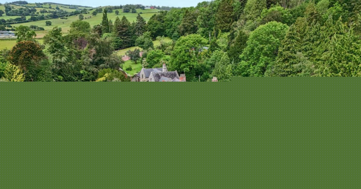 Inside the crumbling country mansion near Newtown going under the hammer for £150,000