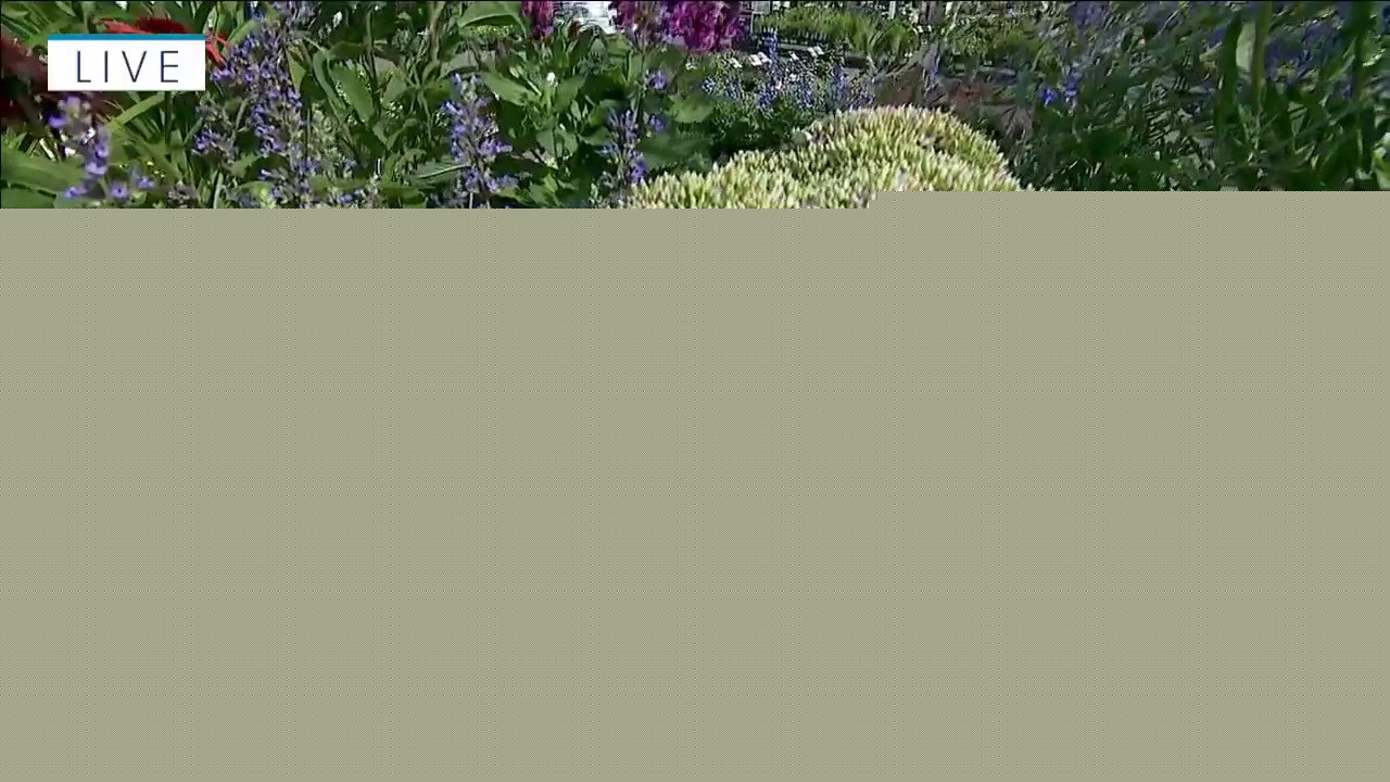 Plants and perennials that are heat tolerant