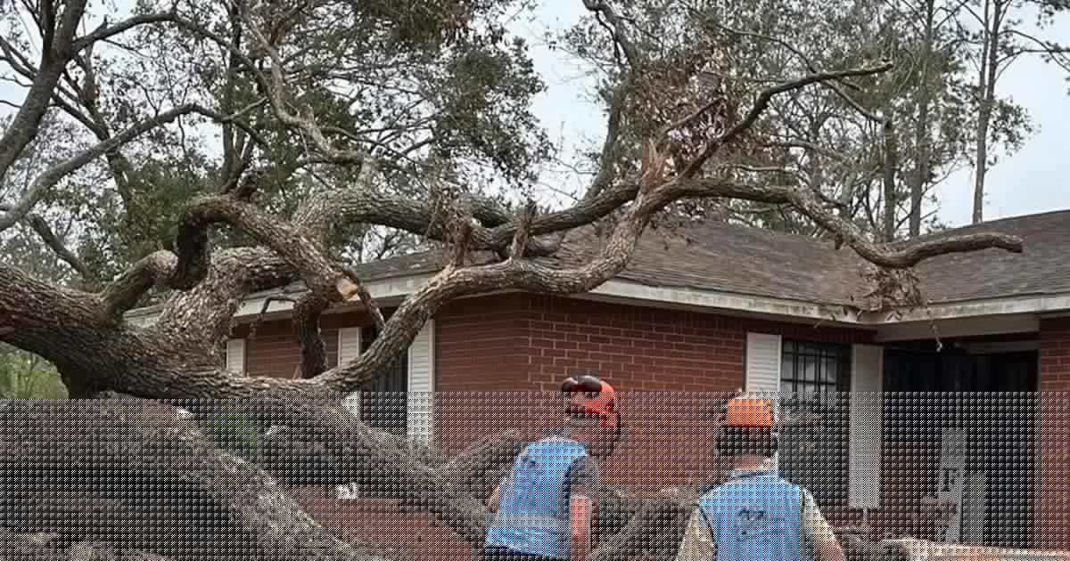 State Sen. Hastings calls for disaster declaration for Will County communities damaged by storms