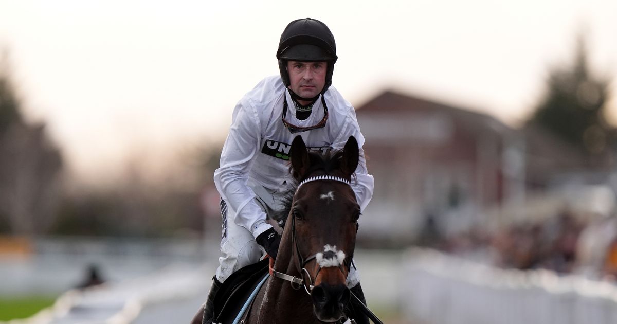 Nicky Henderson names top Flat jockey ‘quite possible’ to get Constitution Hill ride