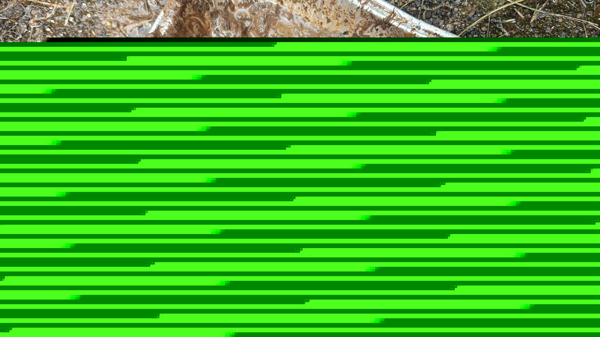 I put this foldable Android phone through the ultimate durability test, and it refuses to die, even after being slathered in mud and tossed in the dishwasher