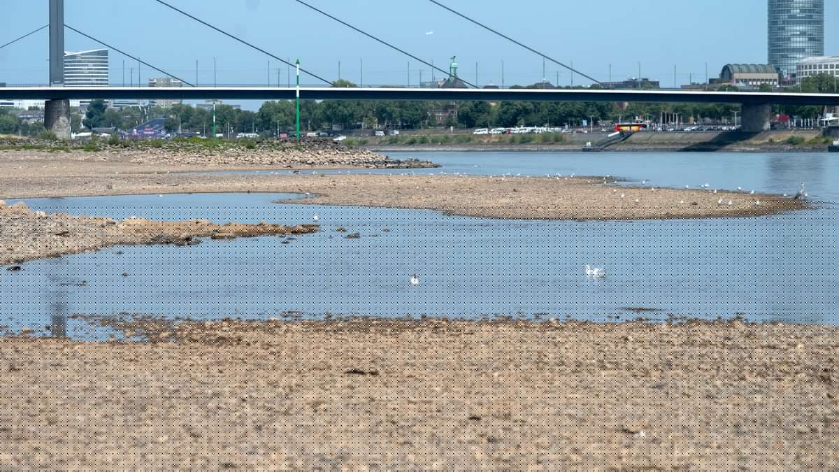 Spritpreise: Niedrigwasser sorgt für Nord-Süd-Gefälle beim Tanken