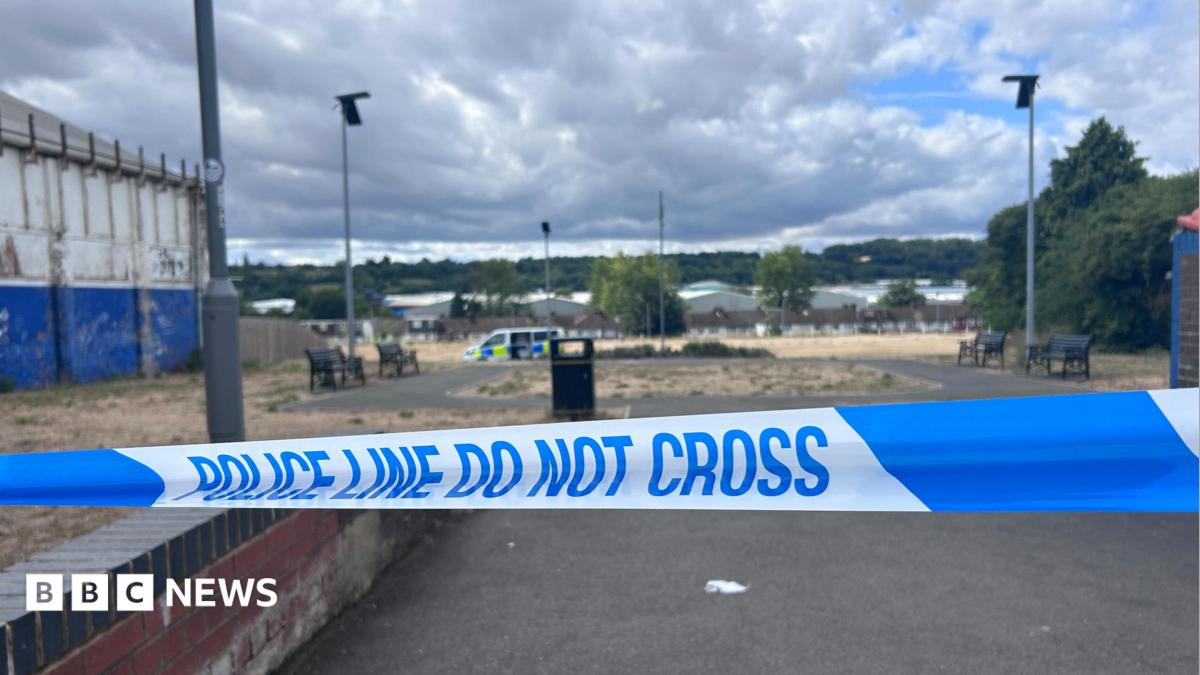 Teenage boy dies after stabbing in Luton as police launch murder investigation