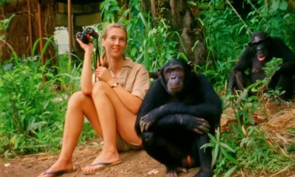 Jane Goodall, renowned primatologist and conservationist, dies at 91