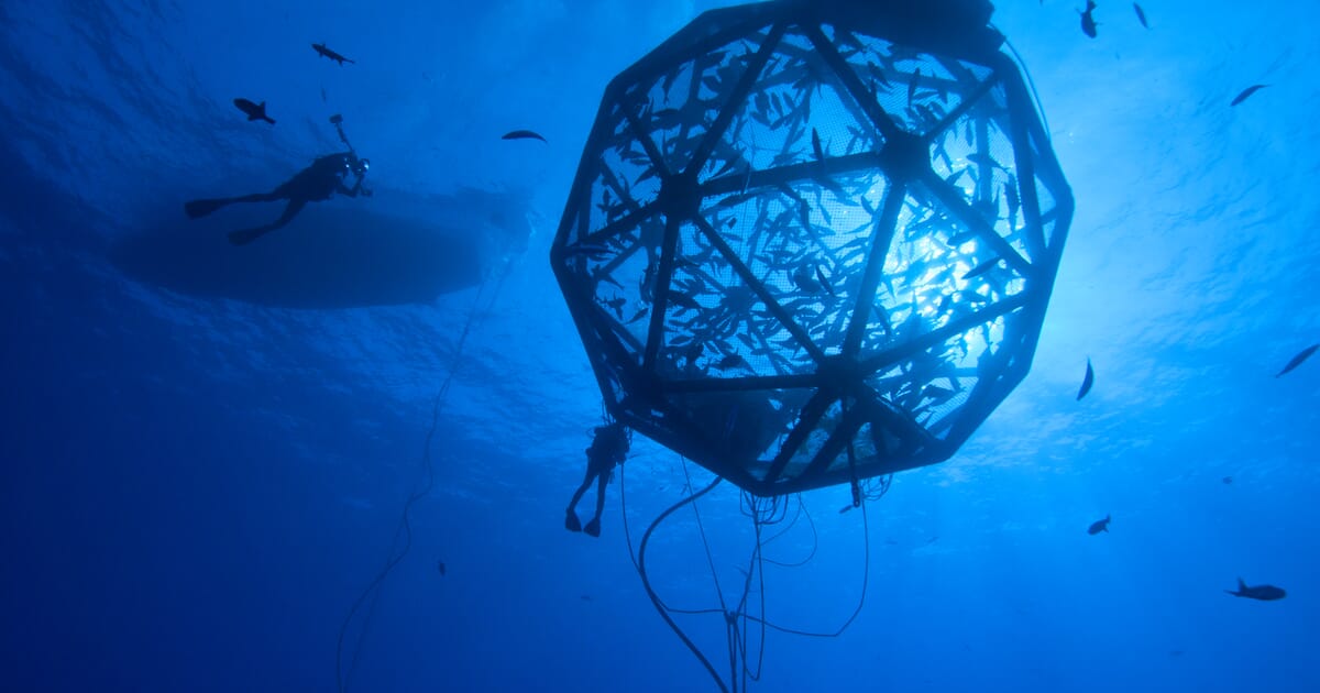NOAA firms up 13 aquaculture opportunity areas