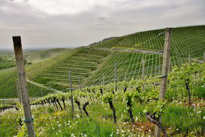 How Philippe Langner Turns Napa’s Toughest Mountain Slope Into Incredible Cabernet